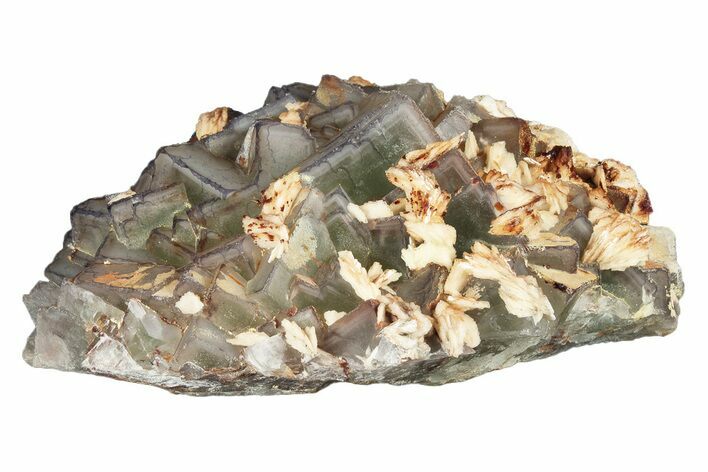 Purple Edge Fluorite Crystal Cluster - Qinglong Mine, China #205216
